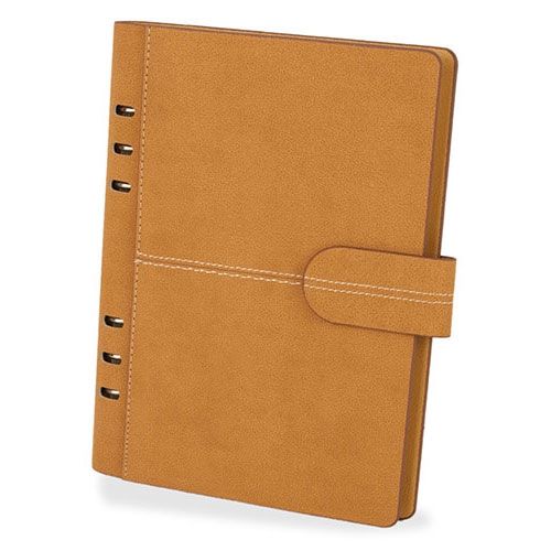 Agendas Agendas