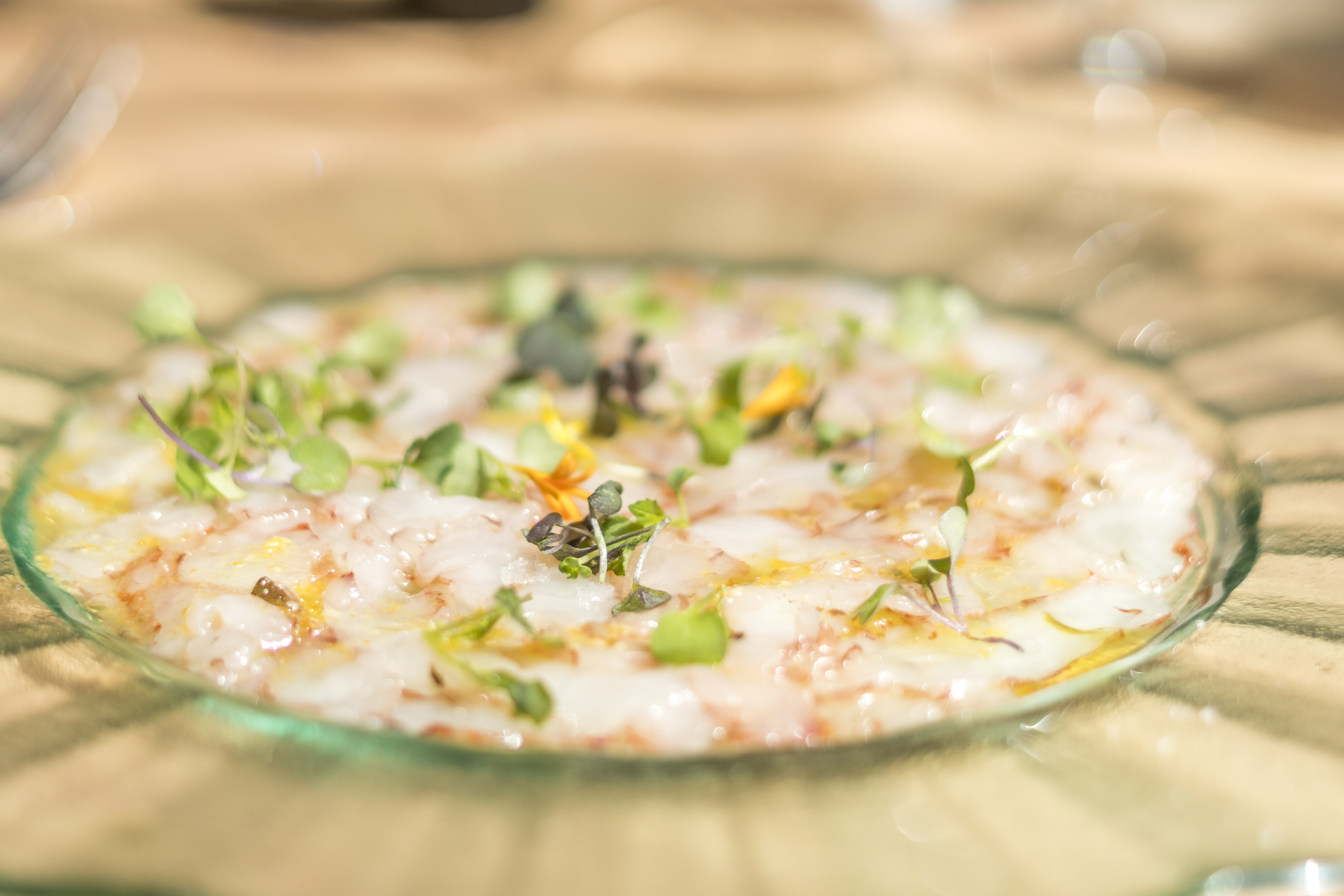 Carpaccio de Gambas, aceite de naranja y alcaparras: CARTA y Menús de Alquimia Carpaccio de Gambas, aceite de naranja y alcaparras: CARTA y Menús de Alquimia