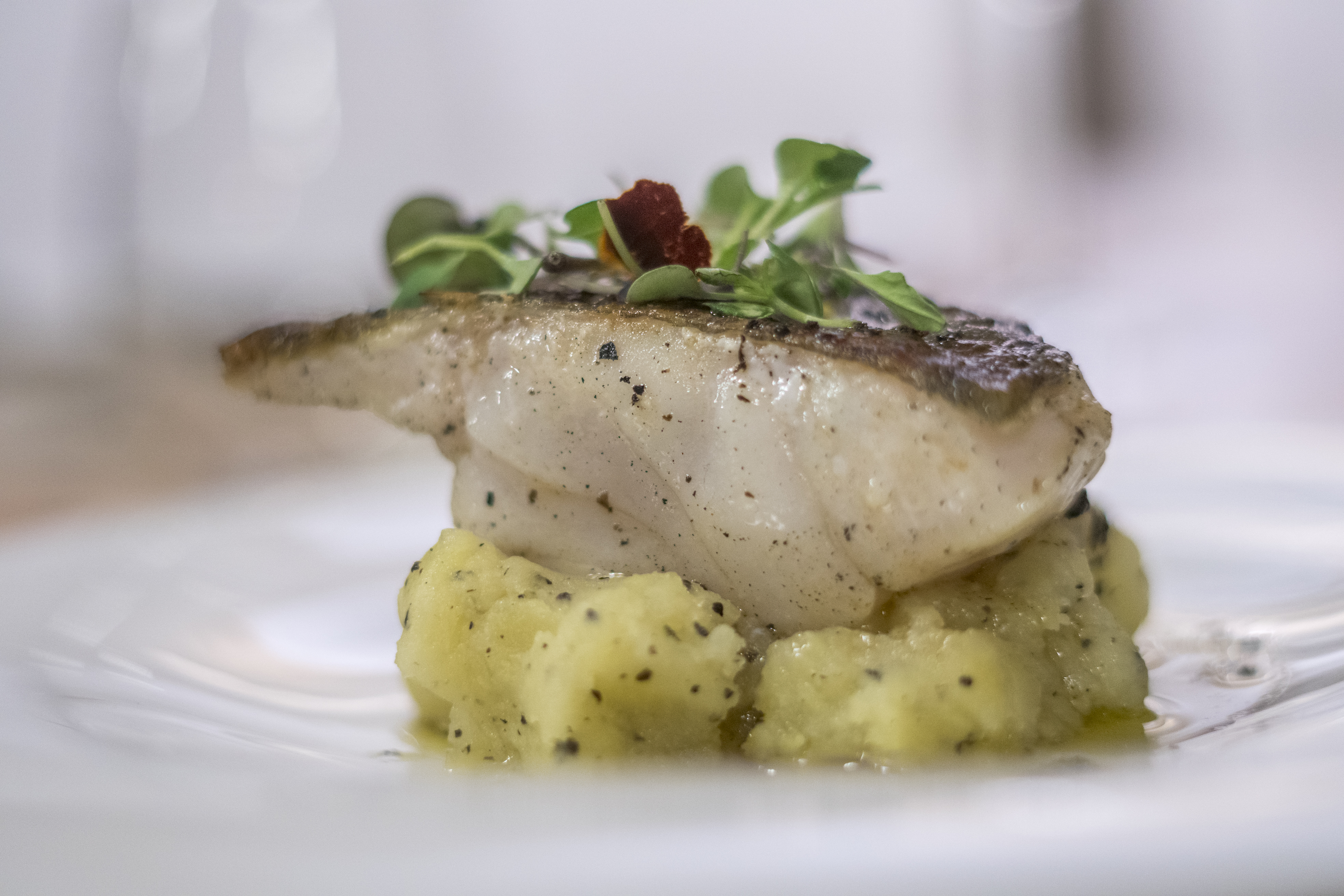 Bacalao al horno con patata trufada: CARTA y Menús de Alquimia Bacalao al horno con patata trufada: CARTA y Menús de Alquimia