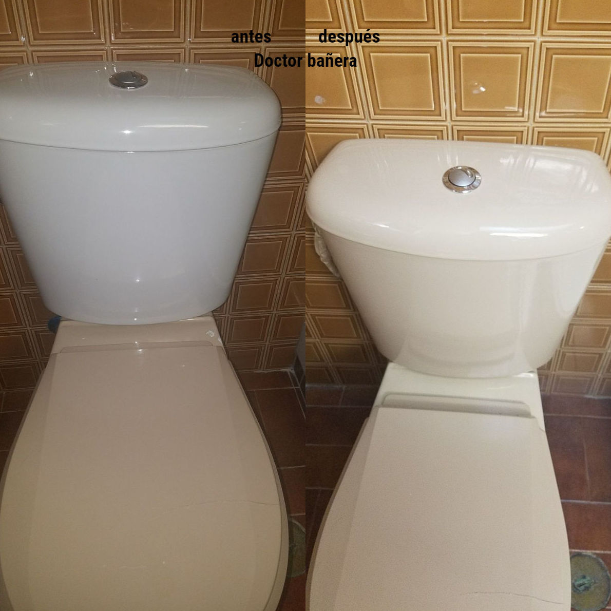 esmaltado de cisterna: de Doctor Bañera Reparación y Esmaltado esmaltado de cisterna: de Doctor Bañera Reparación y Esmaltado