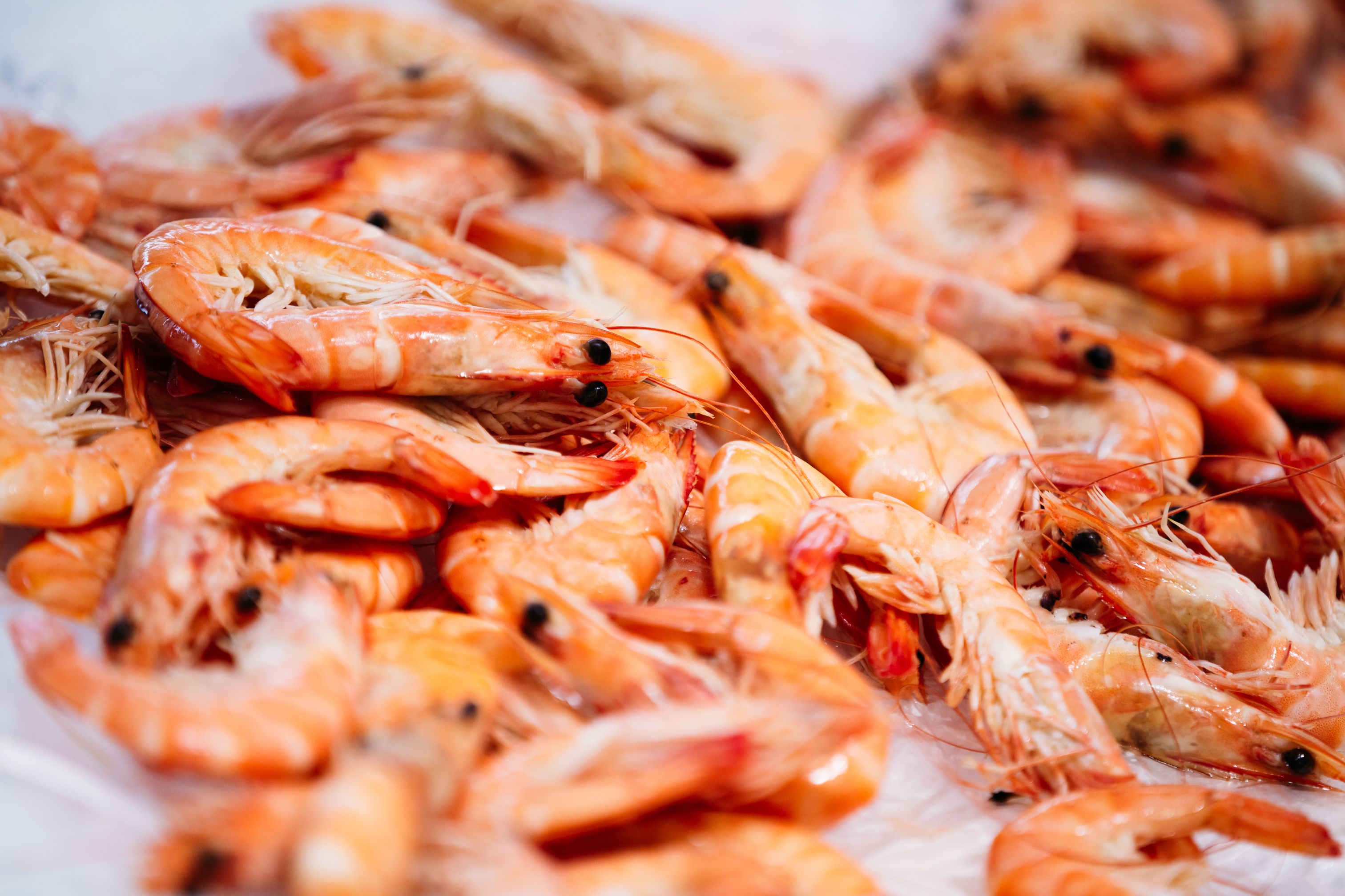 Para compartir: Nuestros Platos de Restaurant & Lounge M&B Para compartir: Nuestros Platos de Restaurant & Lounge M&B