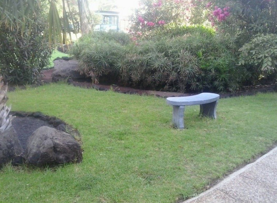 Limpieza de jardines: Servicios de Palmito Palms And Gardens Limpieza de jardines: Servicios de Palmito Palms And Gardens