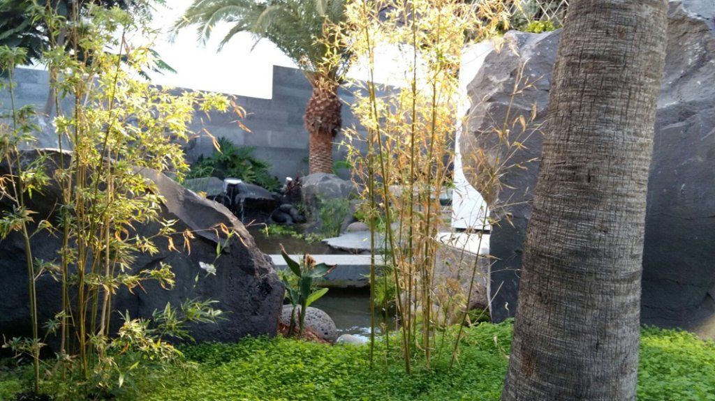 Limpieza de jardines: Servicios de Palmito Palms And Gardens Limpieza de jardines: Servicios de Palmito Palms And Gardens
