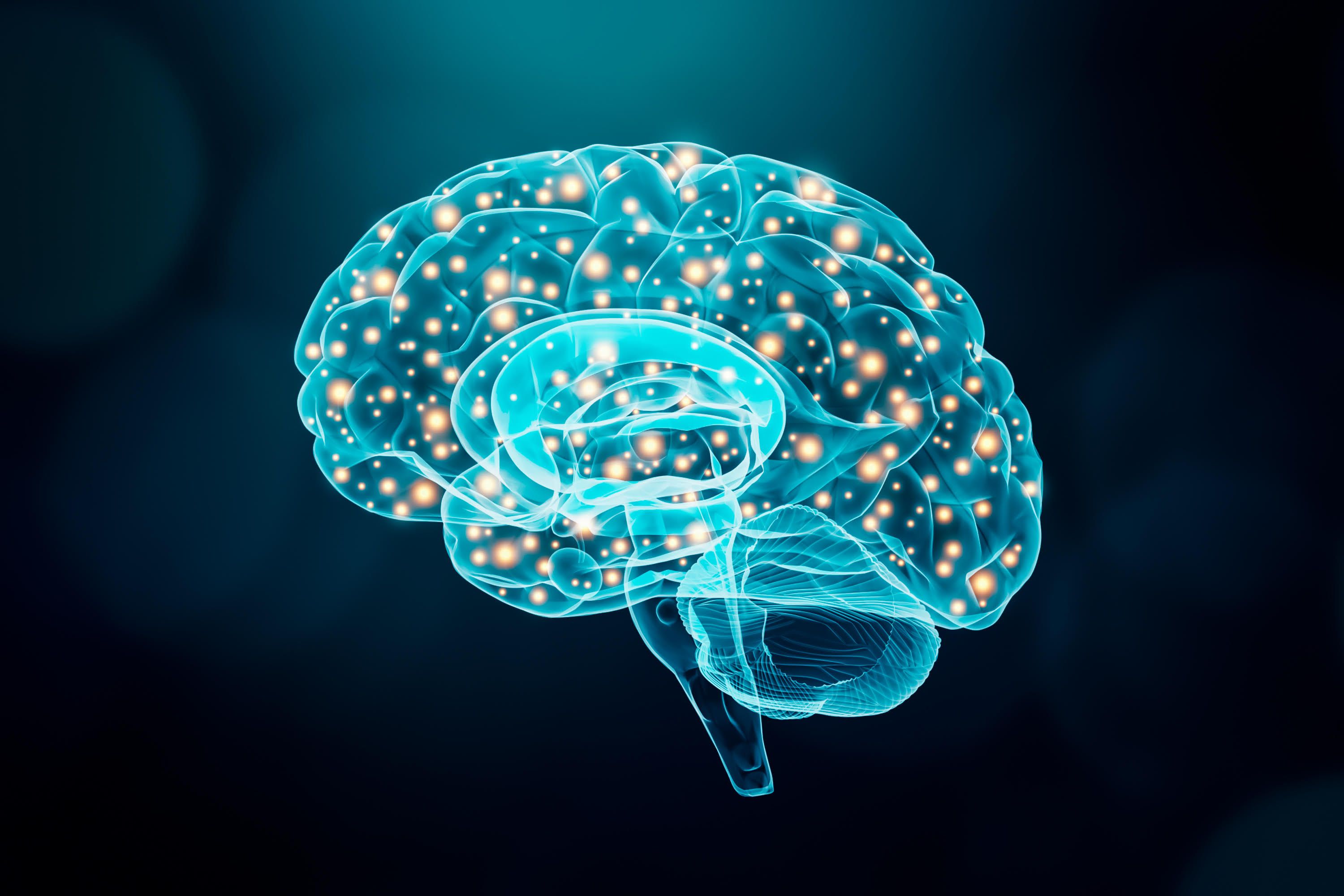 Neurología: Servicios de AIRE VALENCIA Neurología: Servicios de AIRE VALENCIA