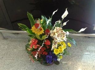 Plantas Interior: Servicios de Flores Toñi Plantas Interior: Servicios de Flores Toñi