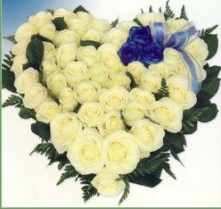 Coronas: Servicios de Flores Toñi Coronas: Servicios de Flores Toñi