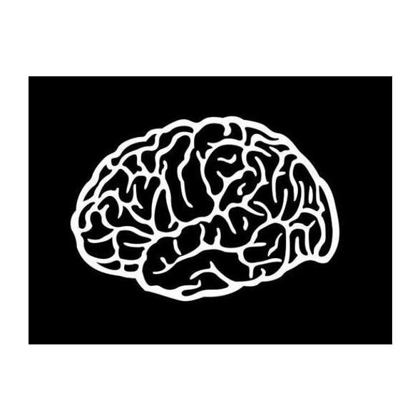 Quistes cerebrales : Especialidades y publicaciones de Doctor Villarejo Quistes cerebrales : Especialidades y publicaciones de Doctor Villarejo
