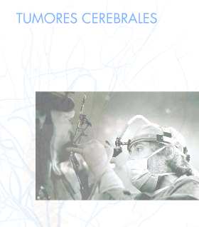 Tumores Cerebrales Tumores Cerebrales
