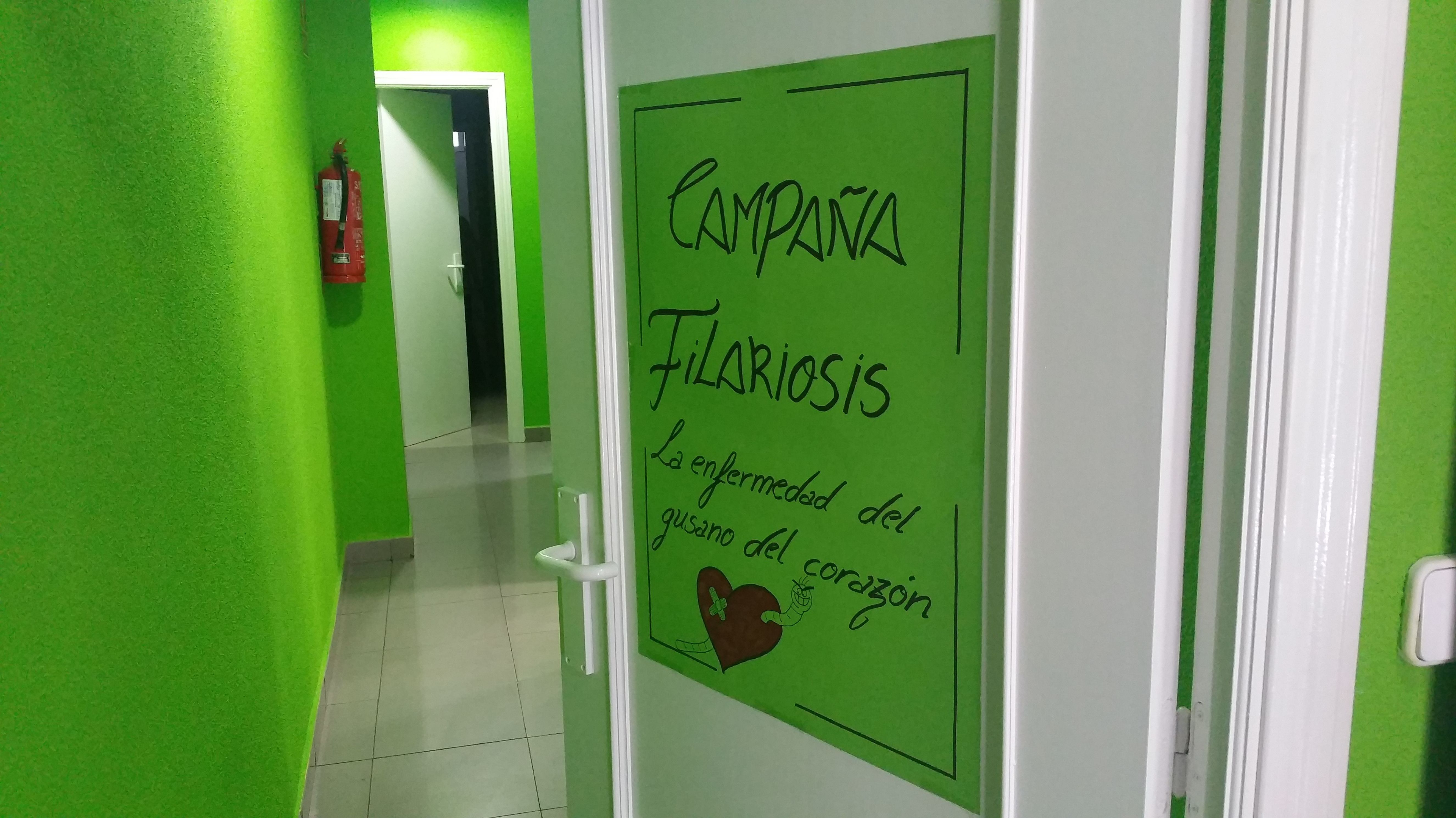 Foto 9 de Veterinarios en Torrejón de Ardoz | Clínica Veterinaria Centro