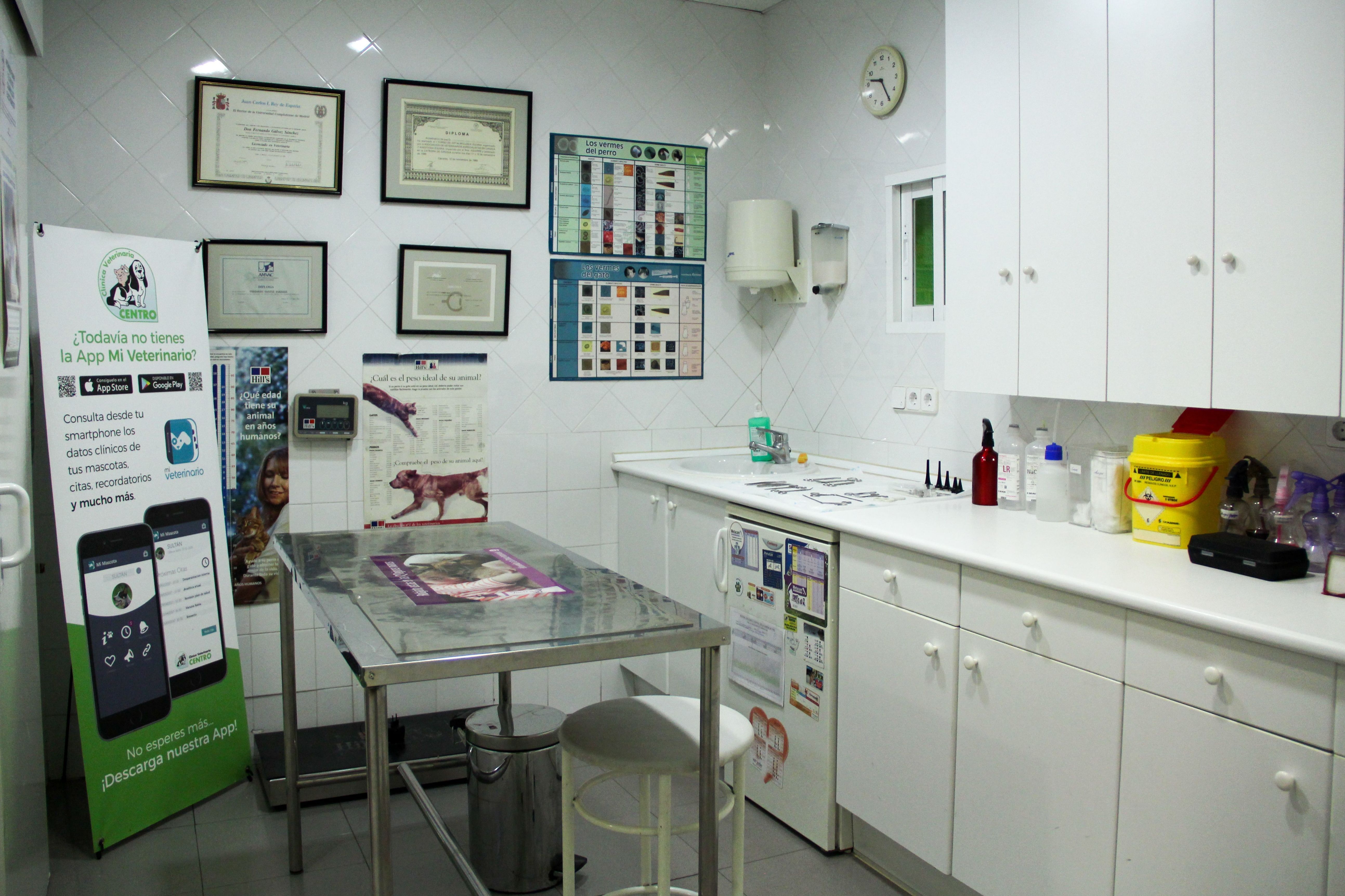 Cirugia: Productos y Servicios de Clínica Veterinaria Centro Cirugia: Productos y Servicios de Clínica Veterinaria Centro