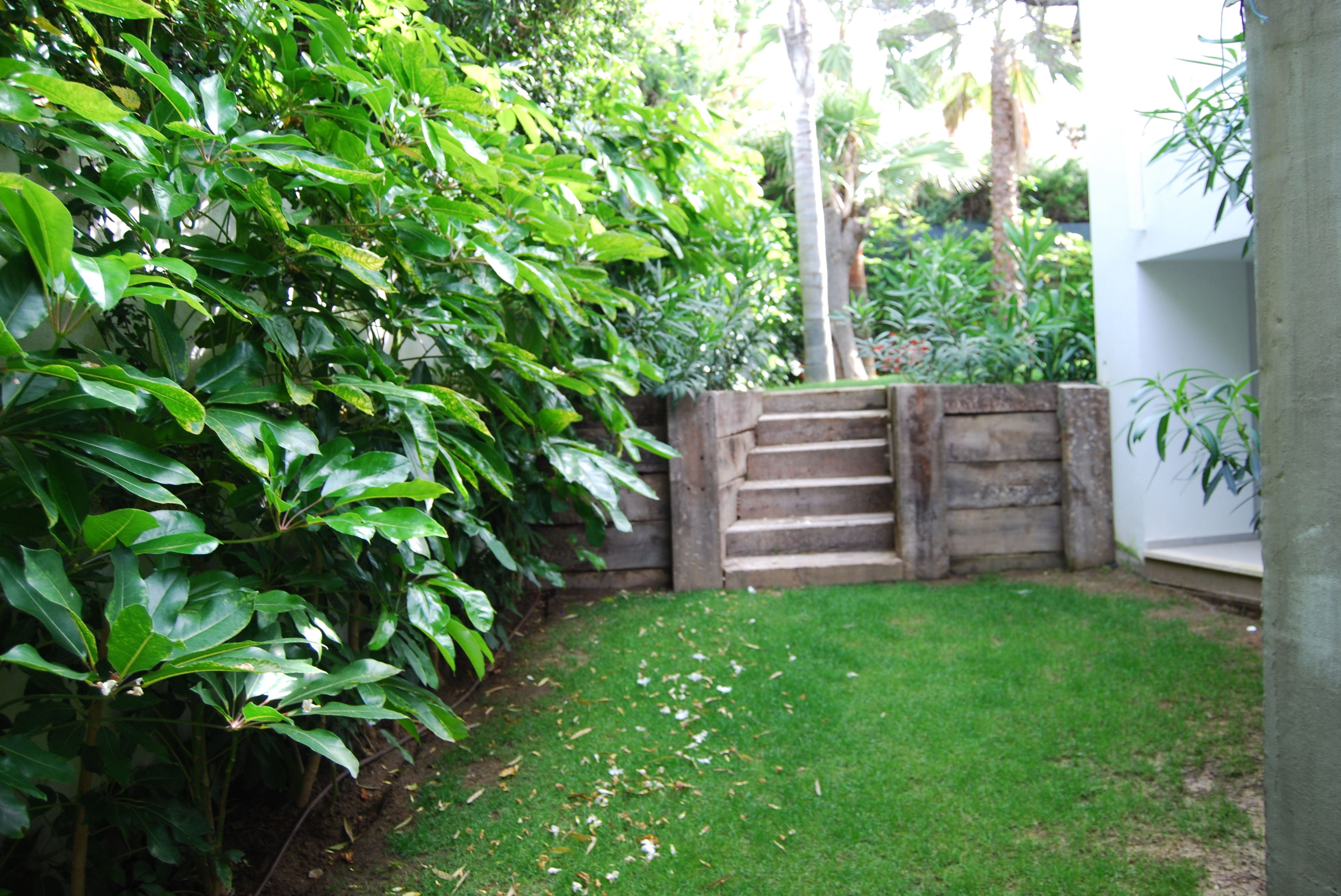 Muros y escaleras : Productos y servicios de Vivero Fantastic Gardens Muros y escaleras : Productos y servicios de Vivero Fantastic Gardens
