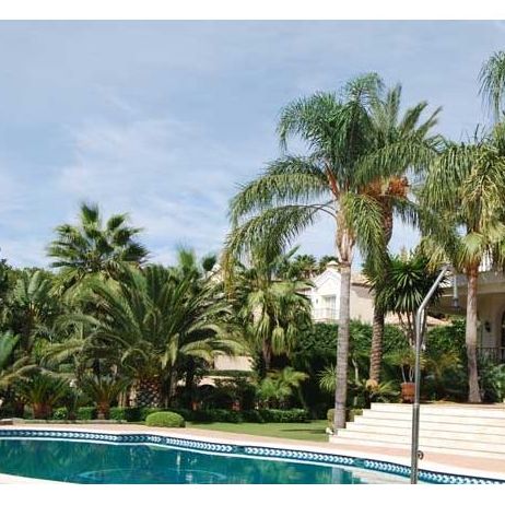 Piscinas: Productos y servicios de Vivero Fantastic Gardens Piscinas: Productos y servicios de Vivero Fantastic Gardens