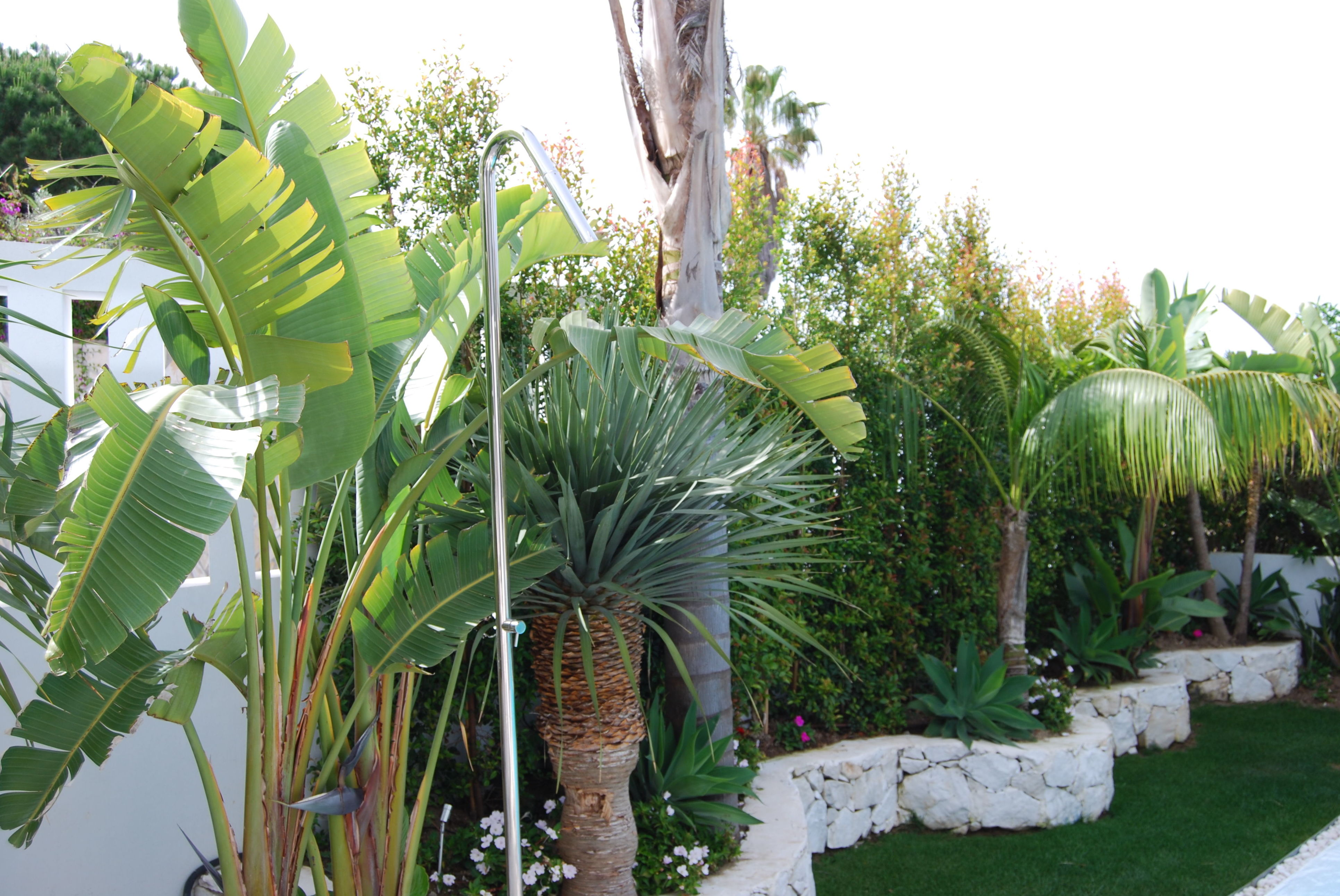 Muros y escaleras : Productos y servicios de Vivero Fantastic Gardens Muros y escaleras : Productos y servicios de Vivero Fantastic Gardens