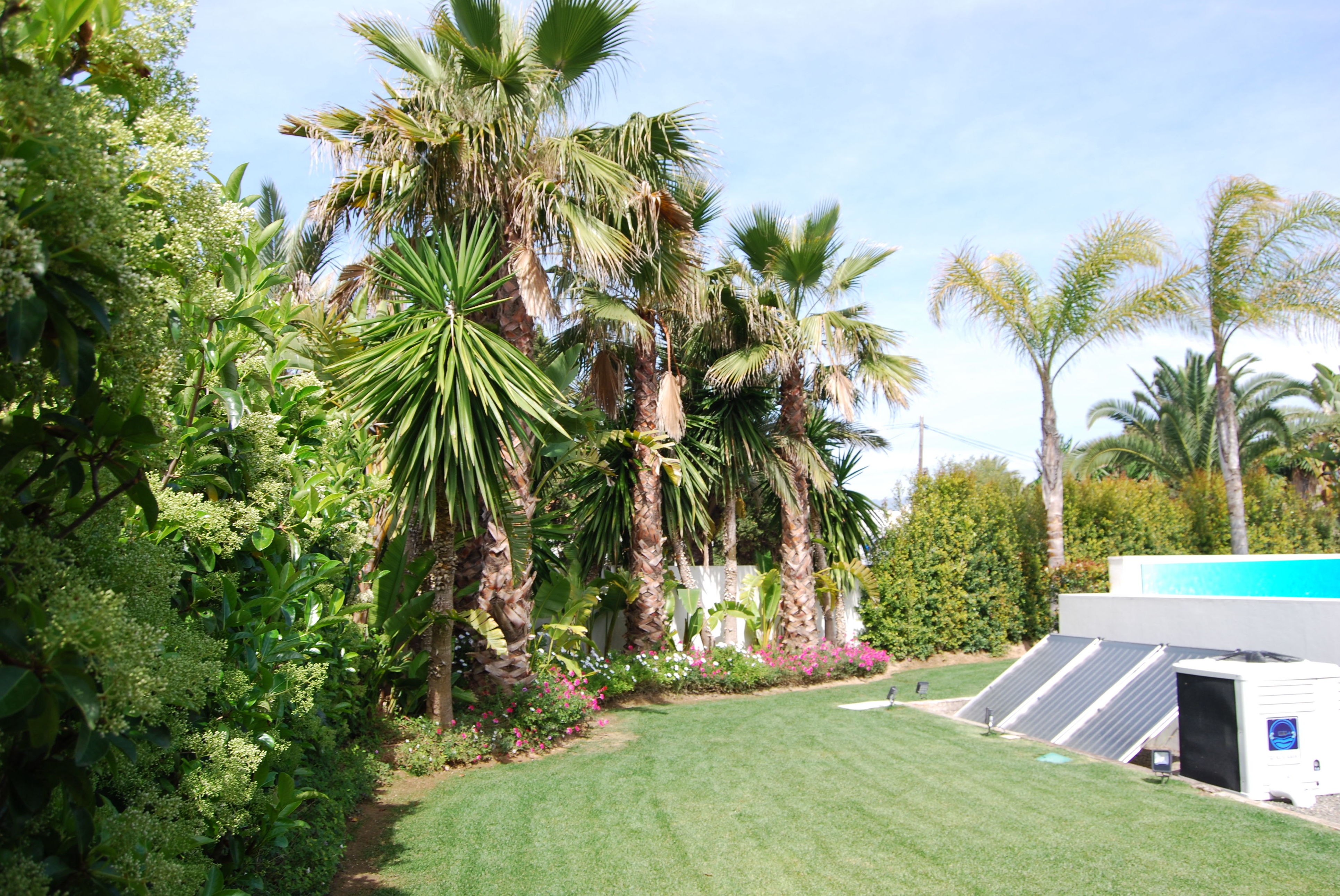 Jardín moderno 