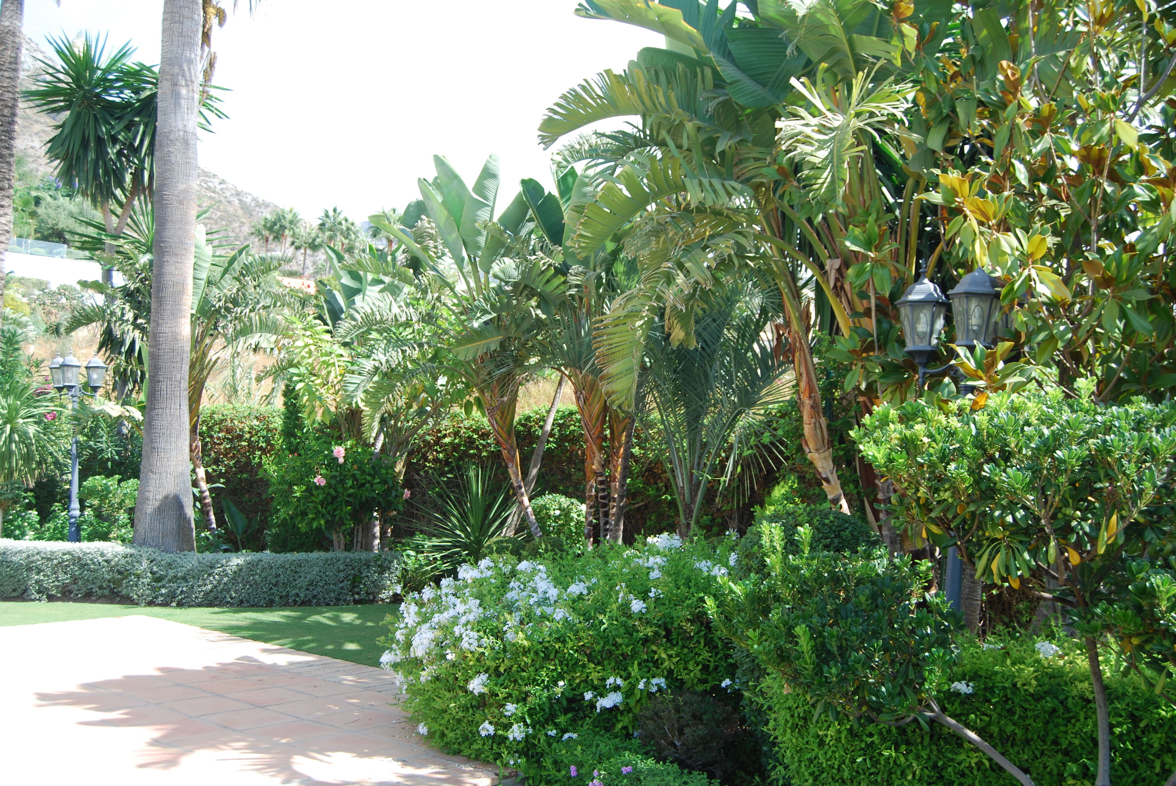 Jardines: Productos y servicios de Vivero Fantastic Gardens Jardines: Productos y servicios de Vivero Fantastic Gardens