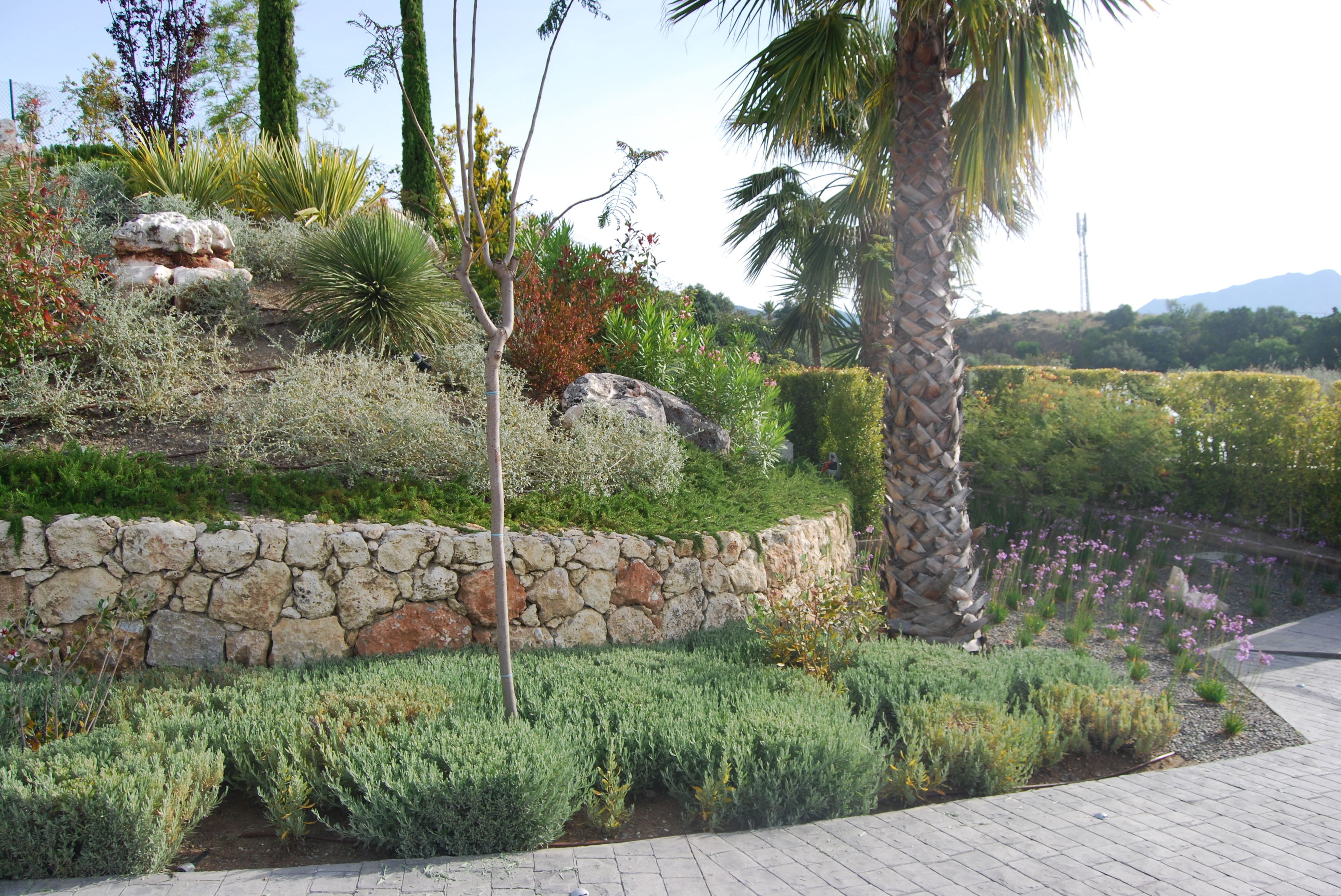 Muros y escaleras : Productos y servicios de Vivero Fantastic Gardens Muros y escaleras : Productos y servicios de Vivero Fantastic Gardens