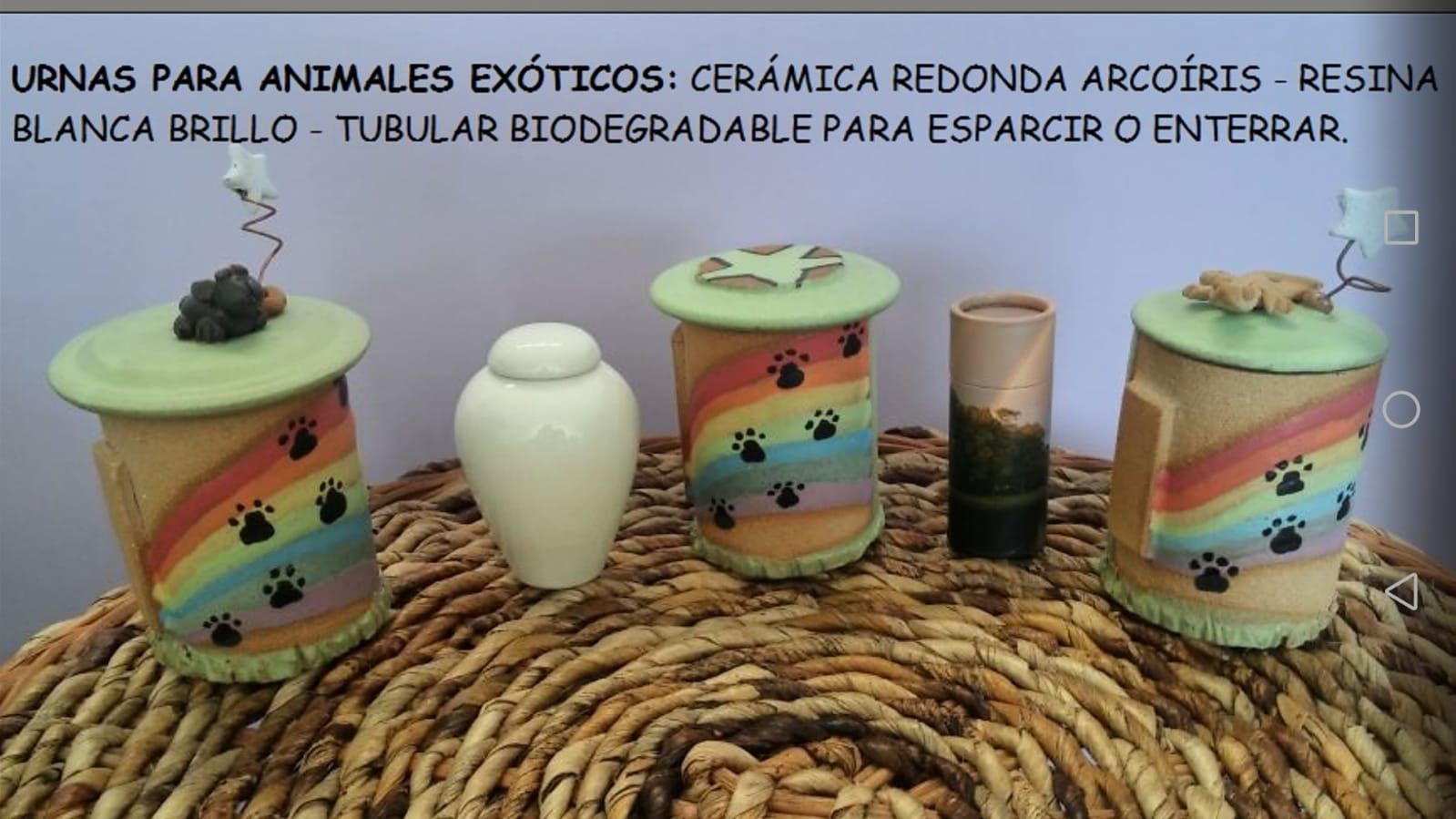 Entrega de las cenizas en urna: Servicios de La Morada de Noé Entrega de las cenizas en urna: Servicios de La Morada de Noé