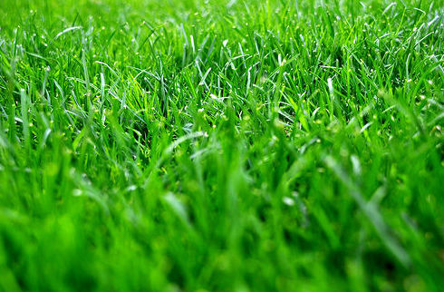 Tubo riego cierzo: Productos de Ferretería Baudilio Tubo riego cierzo: Productos de Ferretería Baudilio