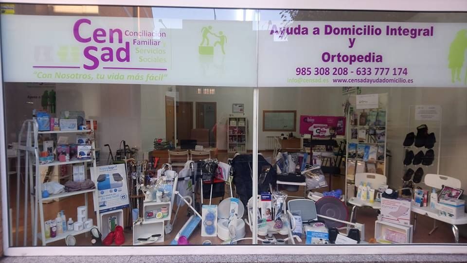 Gestión de servicios sociales: Centro Atención a la Familia de CenSad Conciliación familiar y Servicios sociales Gestión de servicios sociales: Centro Atención a la Familia de CenSad Conciliación familiar y Servicios sociales