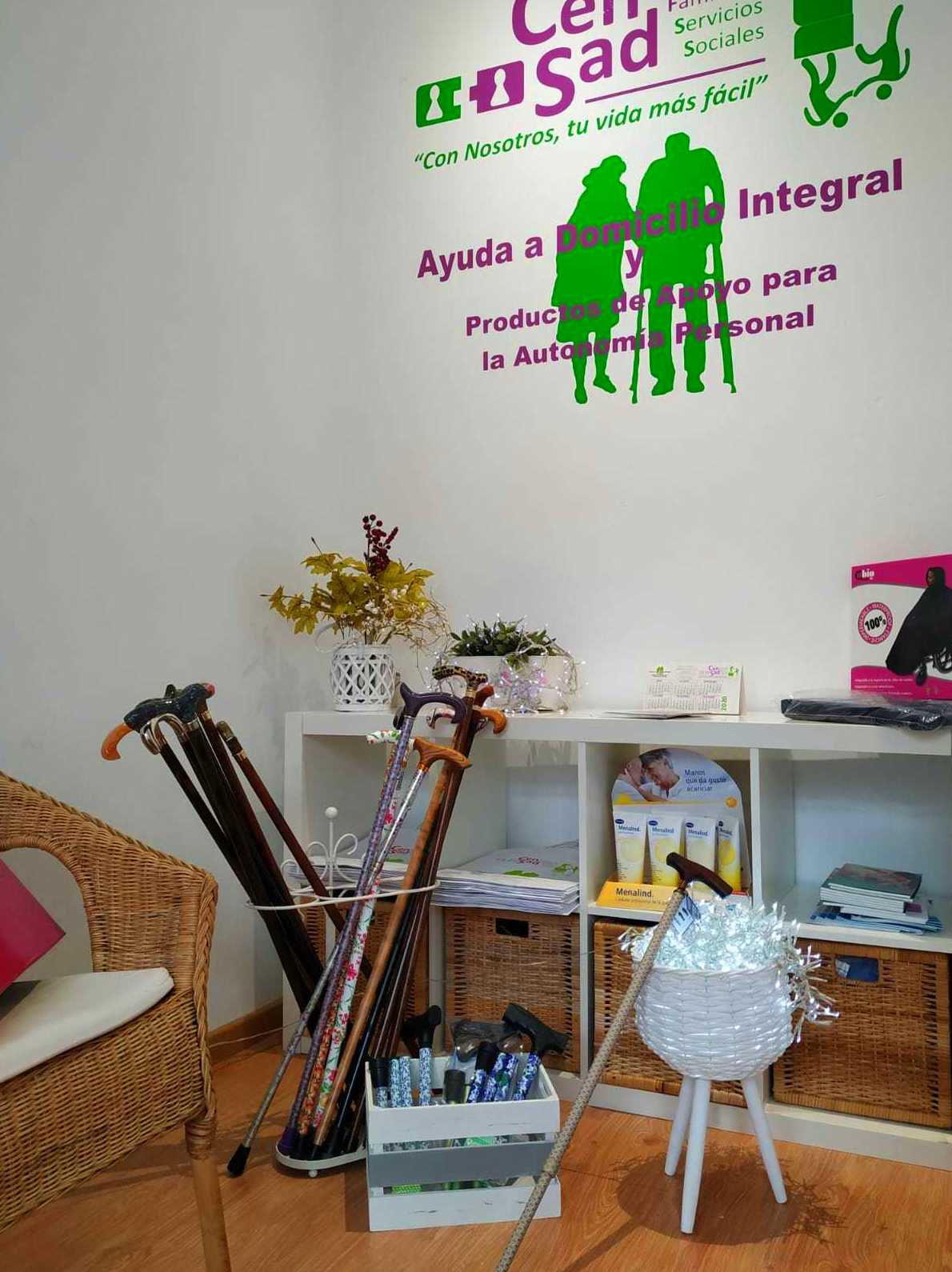 Empresas ayuda a domicilio Gijón