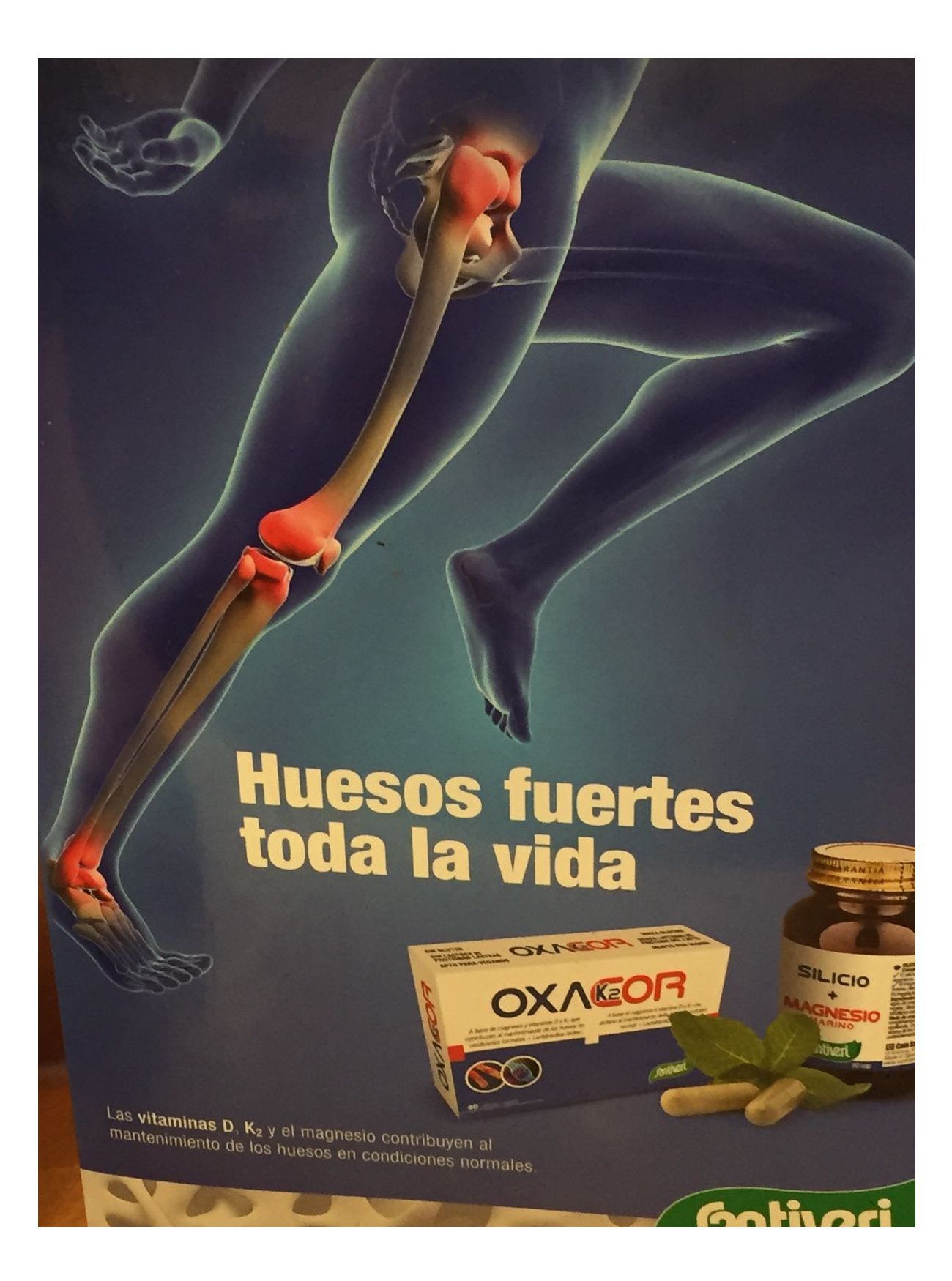 Nuestro productos: Productos de Casa Santiveri Nuestro productos: Productos de Casa Santiveri