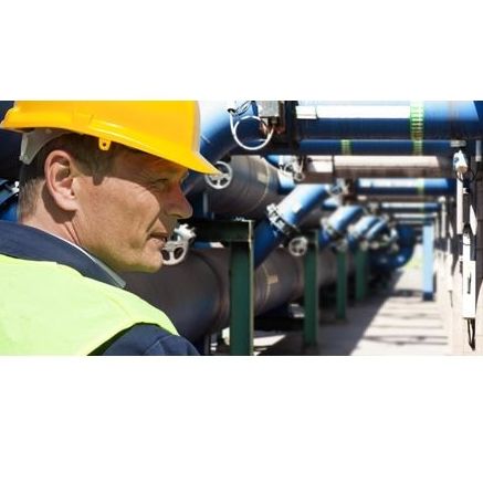 Gestor técnico: Servicios técnicos de Acción Servicios Gestor técnico: Servicios técnicos de Acción Servicios