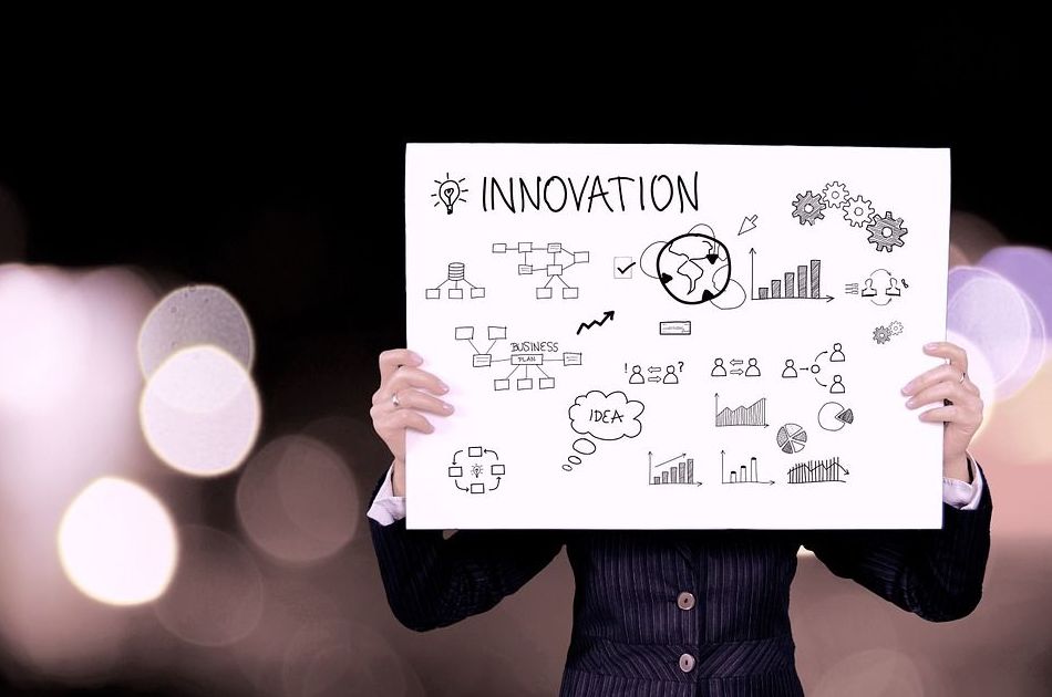Creación de Empresas: Áreas de Gem Assessors Creación de Empresas: Áreas de Gem Assessors