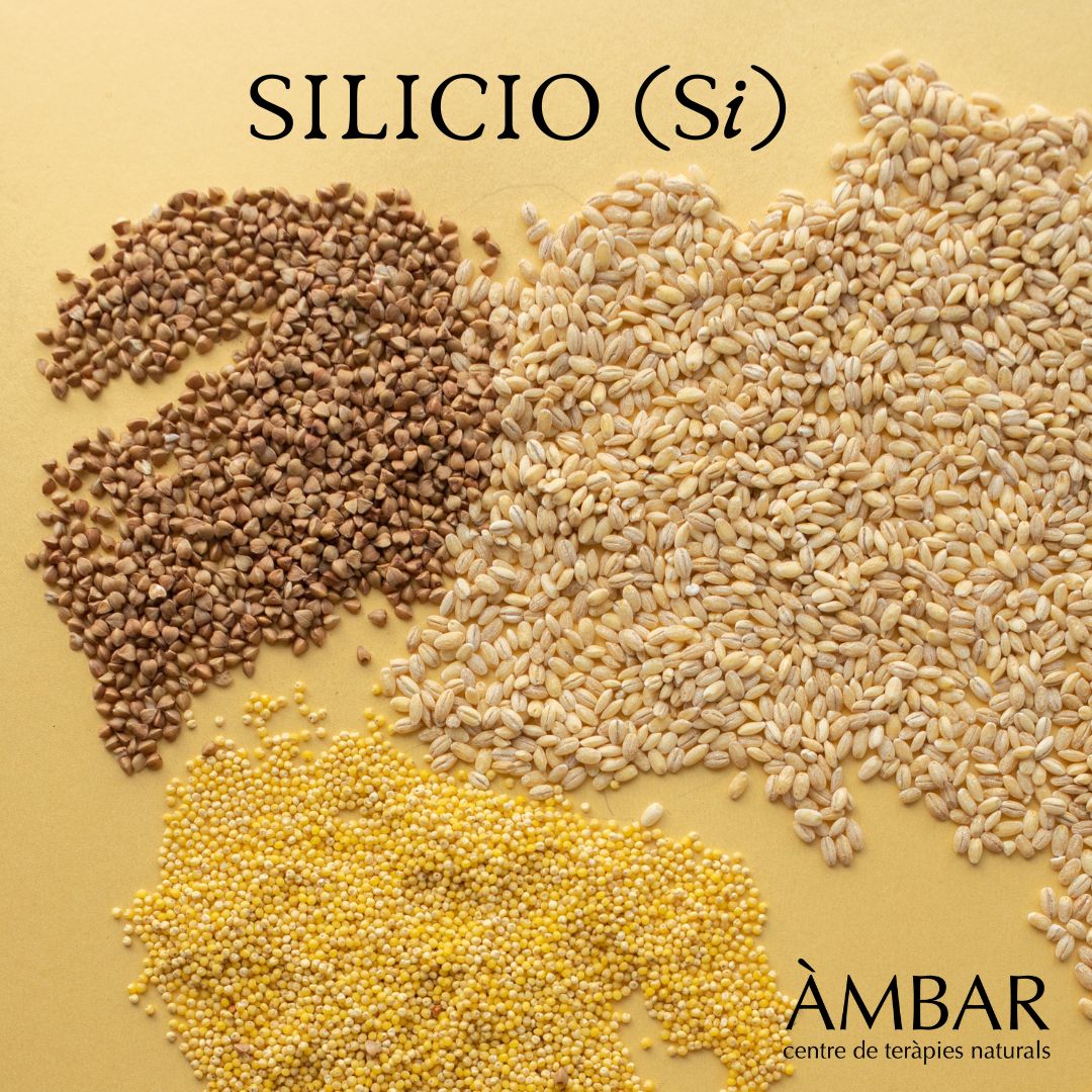 SILICIO: Un mineral esencial para nuestra salud