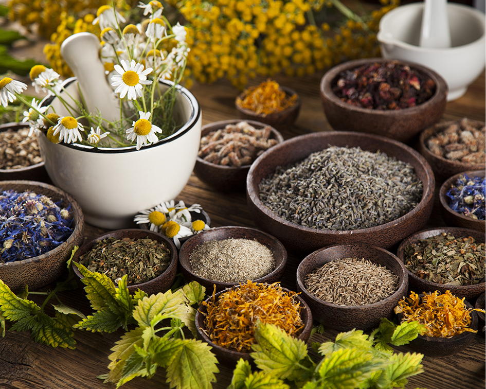 Fitoterapia: Nuestras terapias de AMBAR CENTRE DE TERAPIES NATURALS Fitoterapia: Nuestras terapias de AMBAR CENTRE DE TERAPIES NATURALS