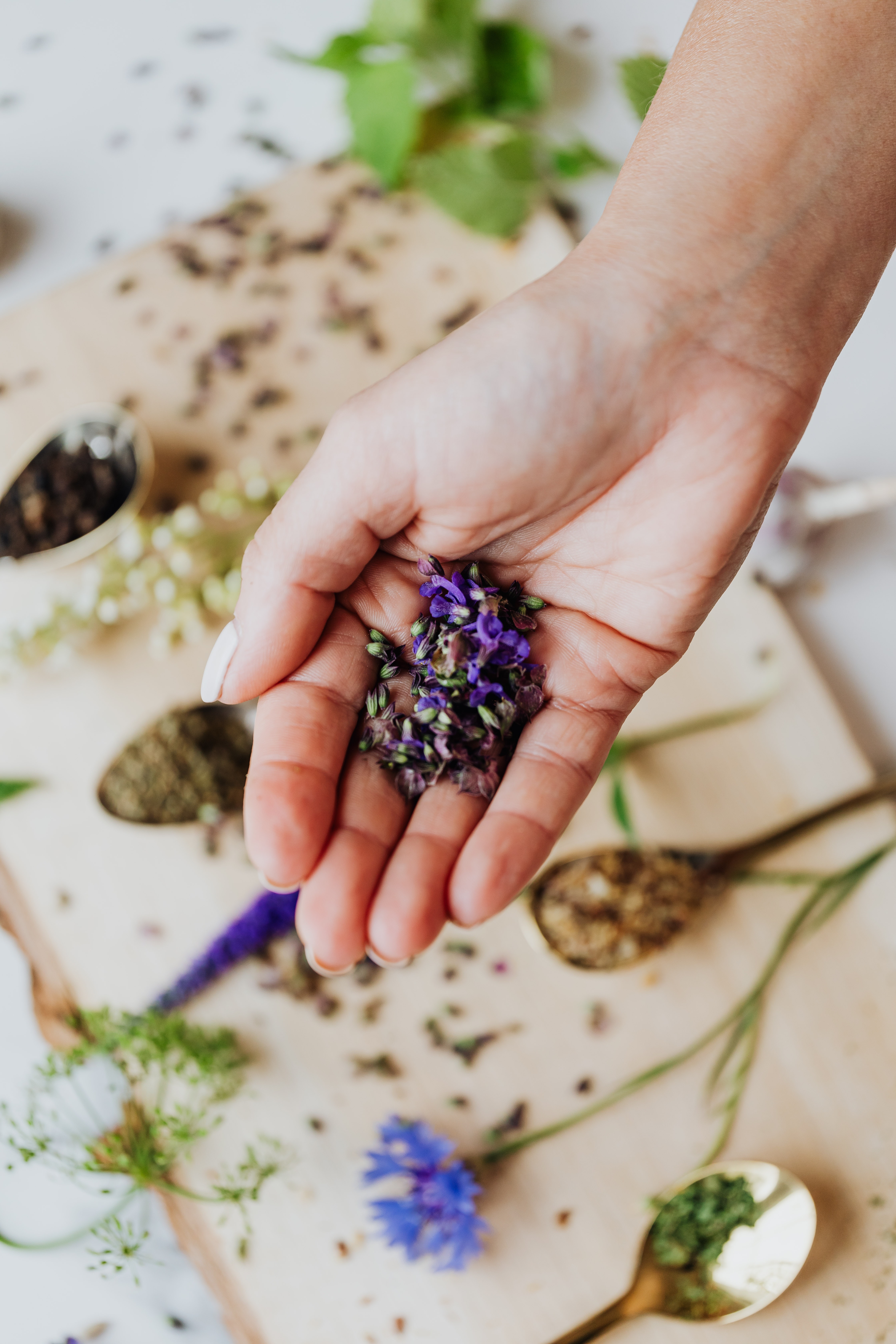 Naturopatía: Nuestras terapias de AMBAR CENTRE DE TERAPIES NATURALS Naturopatía: Nuestras terapias de AMBAR CENTRE DE TERAPIES NATURALS