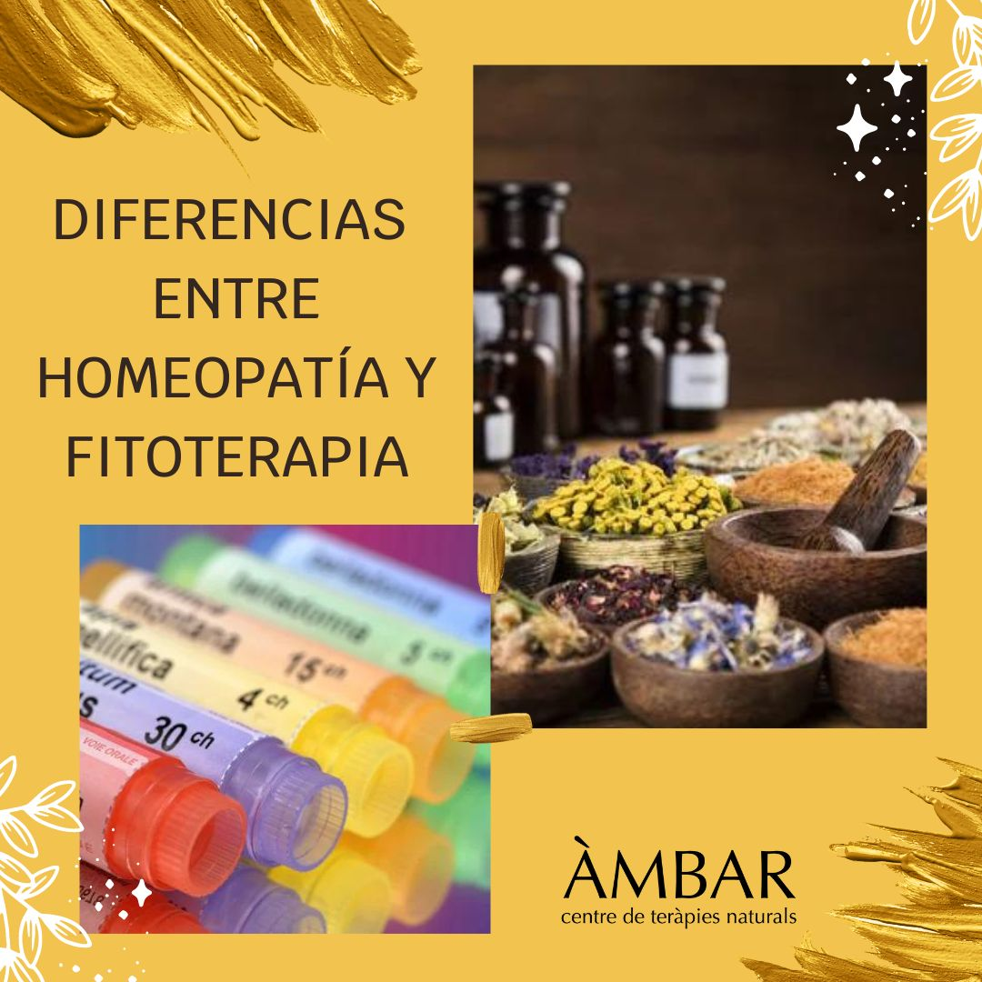 Diferencias Entre HomeopatÍa Y Fitoterapia 3556
