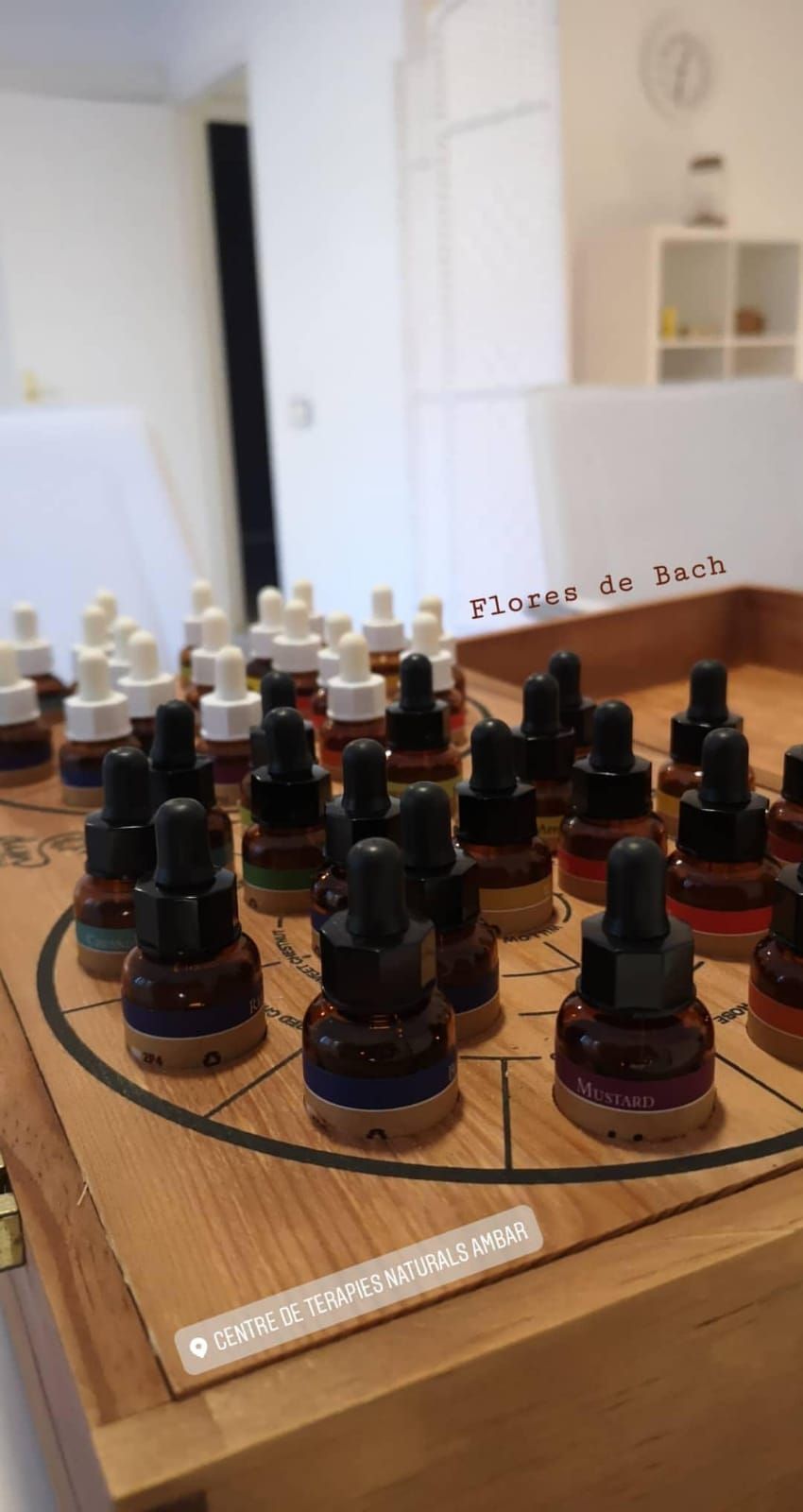 Flores de Bach: Nuestros servicios de AMBAR CENTRE DE TERAPIES NATURALS Flores de Bach: Nuestros servicios de AMBAR CENTRE DE TERAPIES NATURALS