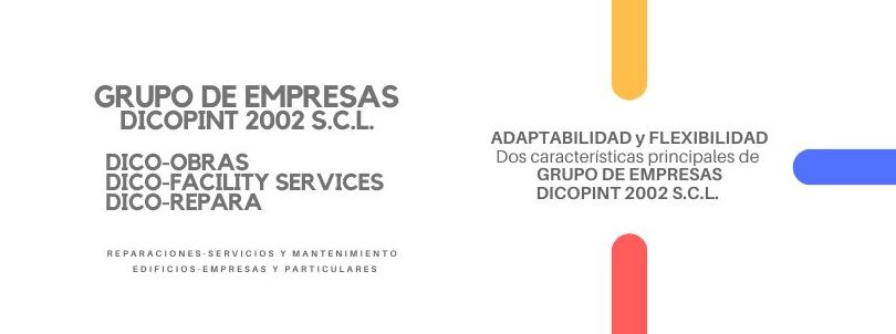 GRUPO DE EMPRESAS DEL GRUPO DICOPINT 2002 S.C.L. GRUPO DE EMPRESAS DEL GRUPO DICOPINT 2002 S.C.L.