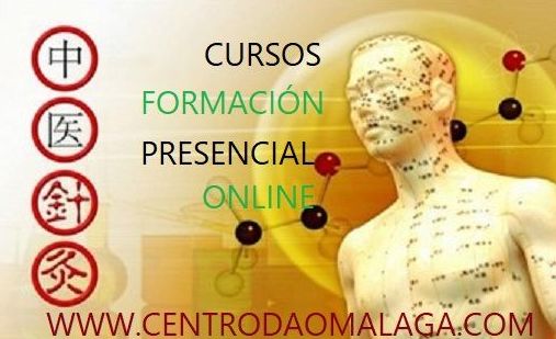 Cursos Centro Dao Cursos Centro Dao