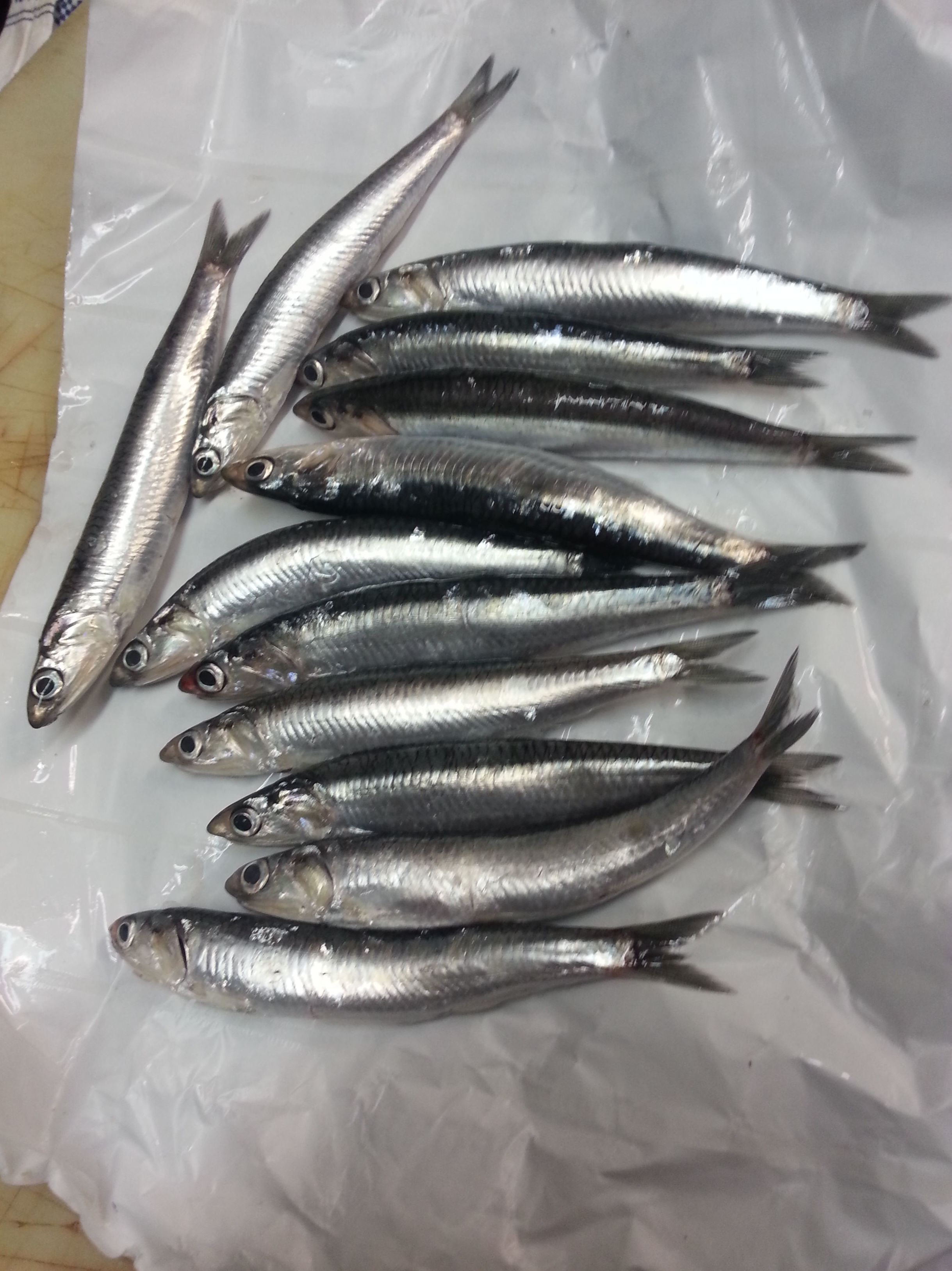Pescados: de Taberna Unai Pescados: de Taberna Unai