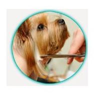 Peluquería : Servicios de Clínica Veterinaria Roncal Peluquería : Servicios de Clínica Veterinaria Roncal