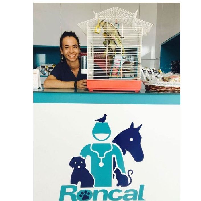 Exóticos: Servicios de Clínica Veterinaria Roncal Exóticos: Servicios de Clínica Veterinaria Roncal