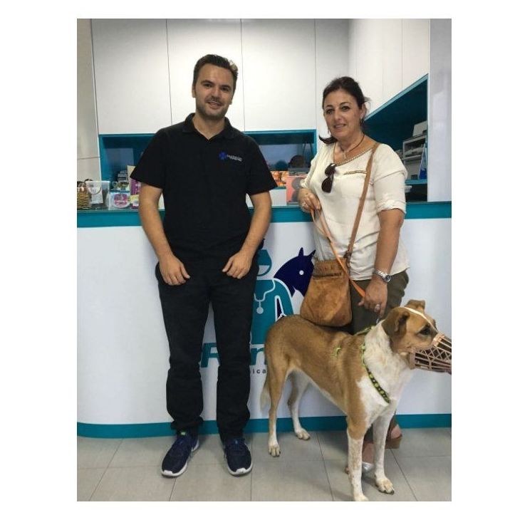 Etología: Servicios de Clínica Veterinaria Roncal Etología: Servicios de Clínica Veterinaria Roncal