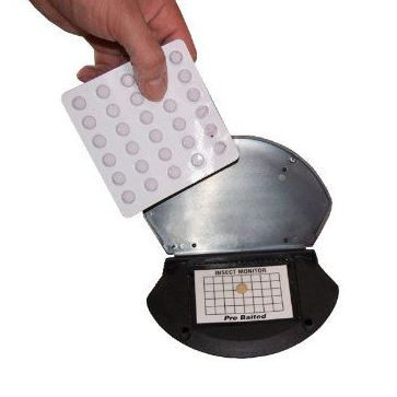 Desinsectación: Productos y servicios de Elis Manomatic Desinsectación: Productos y servicios de Elis Manomatic