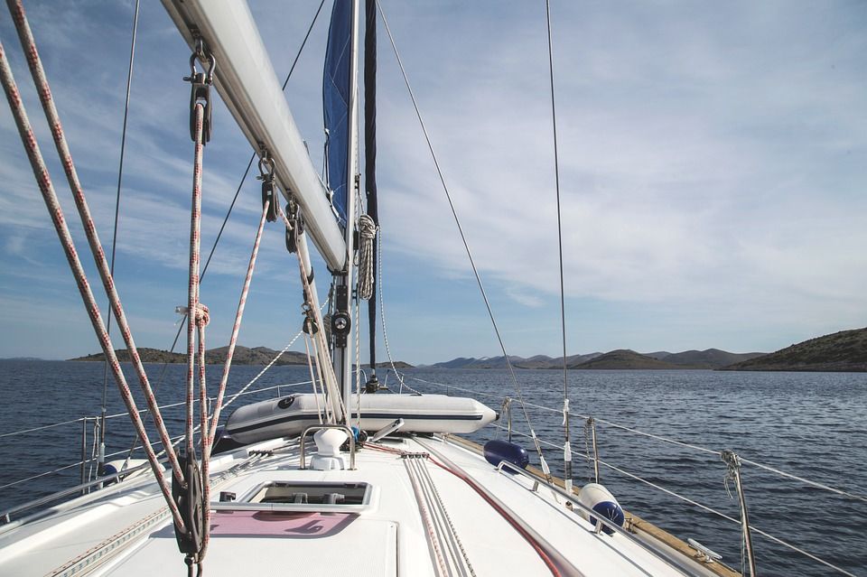 Dolphin Search Trip (Barco de búsqueda de delfines): Servicios de Parafarmacia Internacional Dolphin Search Trip (Barco de búsqueda de delfines): Servicios de Parafarmacia Internacional