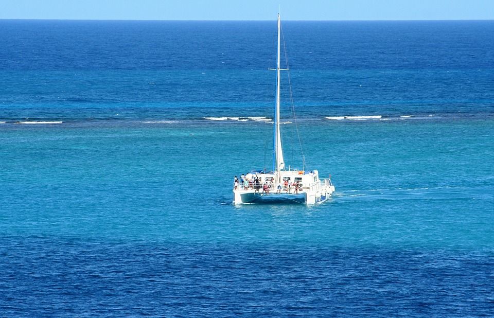 Catamarán excursión Delfín Playa: Servicios de Parafarmacia Internacional Catamarán excursión Delfín Playa: Servicios de Parafarmacia Internacional