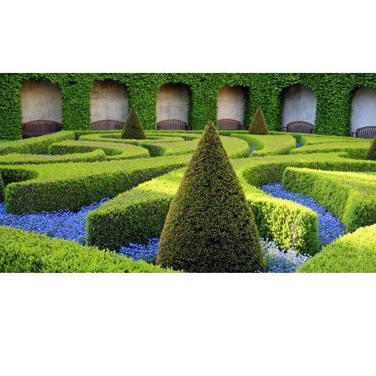 Jardinería: Productos trebol garden de Trébol Garden Jardinería: Productos trebol garden de Trébol Garden