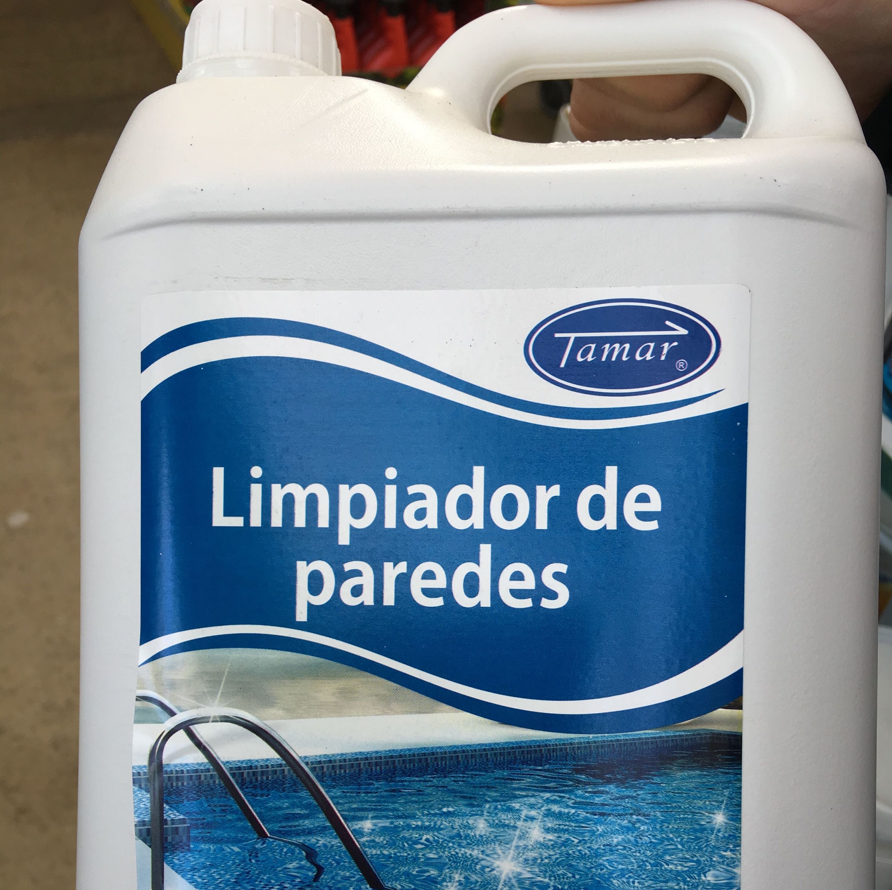 Limpiador piscinas Puerto Sagunto Limpiador piscinas Puerto Sagunto