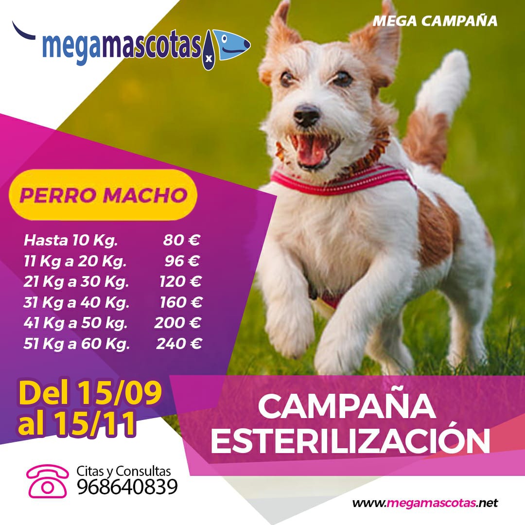 PROMOCIONES: Servicios de Megamascotas PROMOCIONES: Servicios de Megamascotas