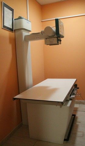 Servicio de traumatología: Servicios de Megamascotas Servicio de traumatología: Servicios de Megamascotas