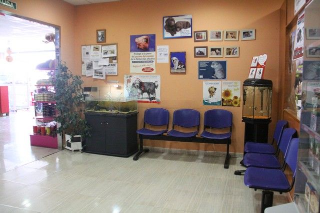 Clínica veterinaria 24h Molina de Segura