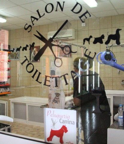 Peluquería canina y felina: Servicios de Megamascotas Peluquería canina y felina: Servicios de Megamascotas