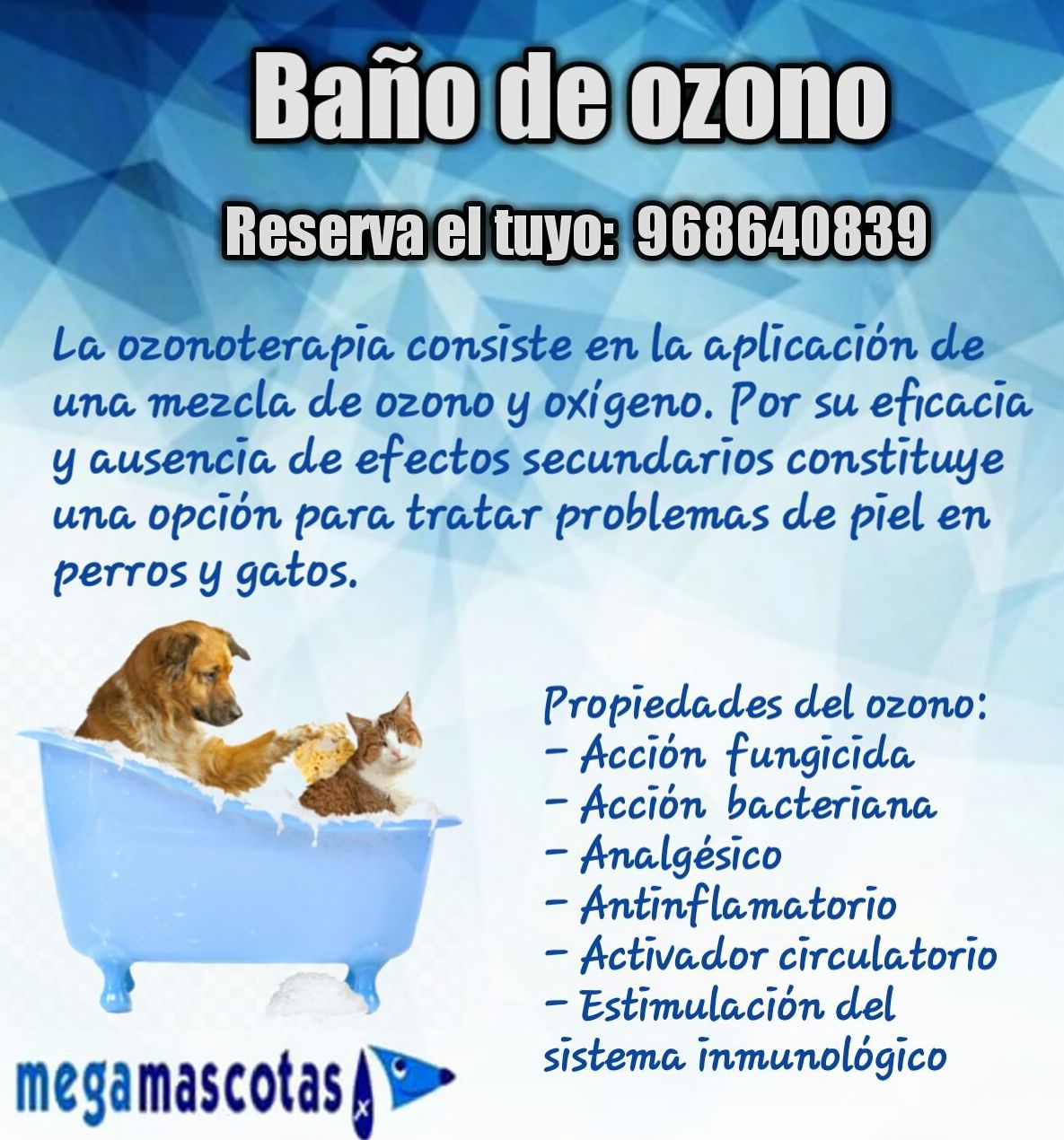 Peluquería canina y felina: Servicios de Megamascotas Peluquería canina y felina: Servicios de Megamascotas