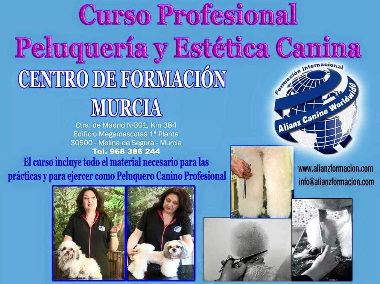 Curso de peluqueria y estetica canina Curso de peluqueria y estetica canina