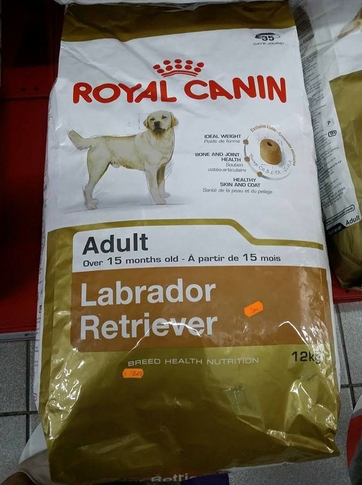 Piensos adultos: Productos y servicios de Don Perro Piensos adultos: Productos y servicios de Don Perro
